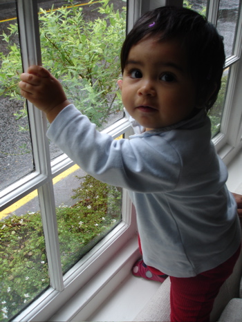21 Oct window.jpg